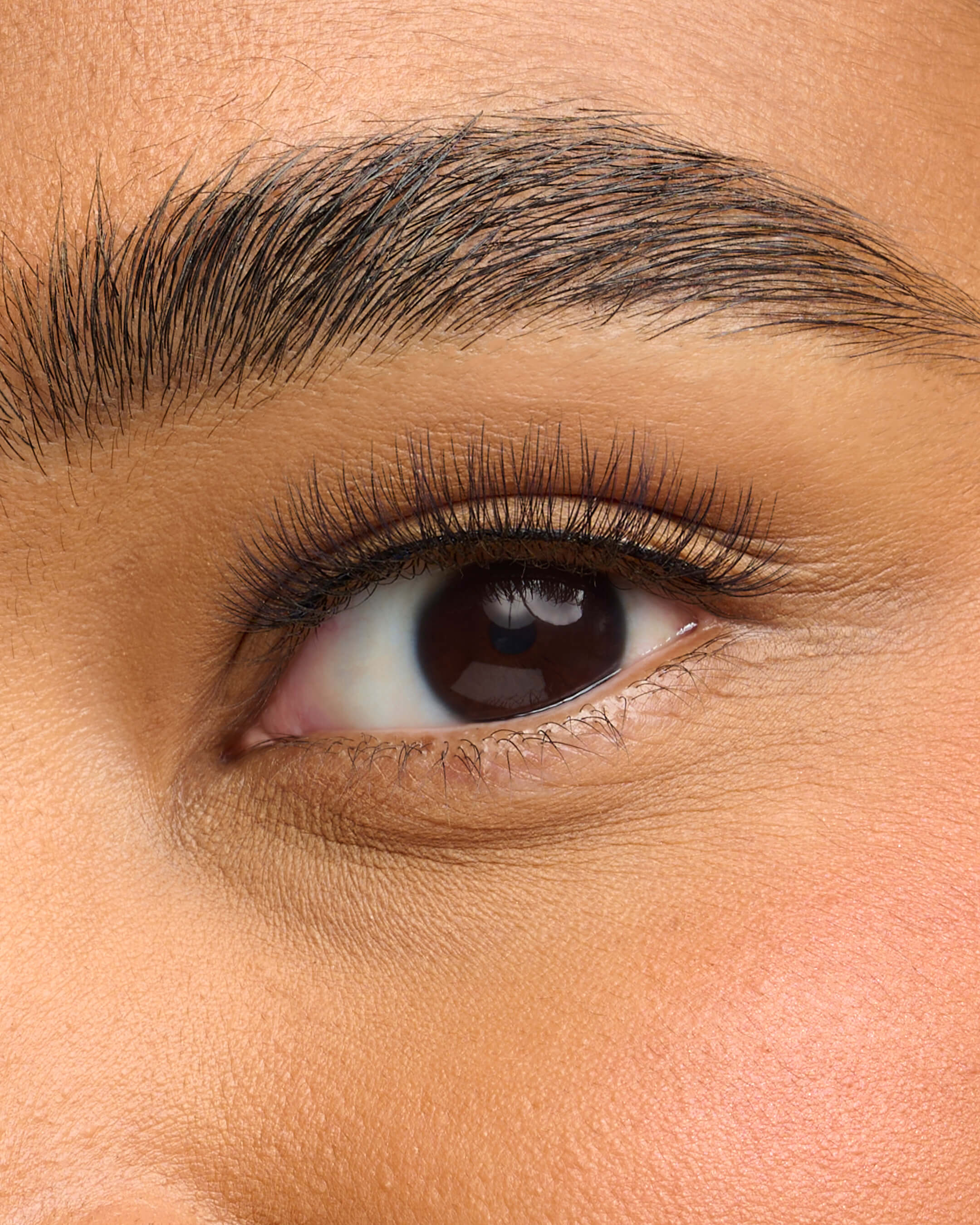 Effortless Lash Kit - Image 3