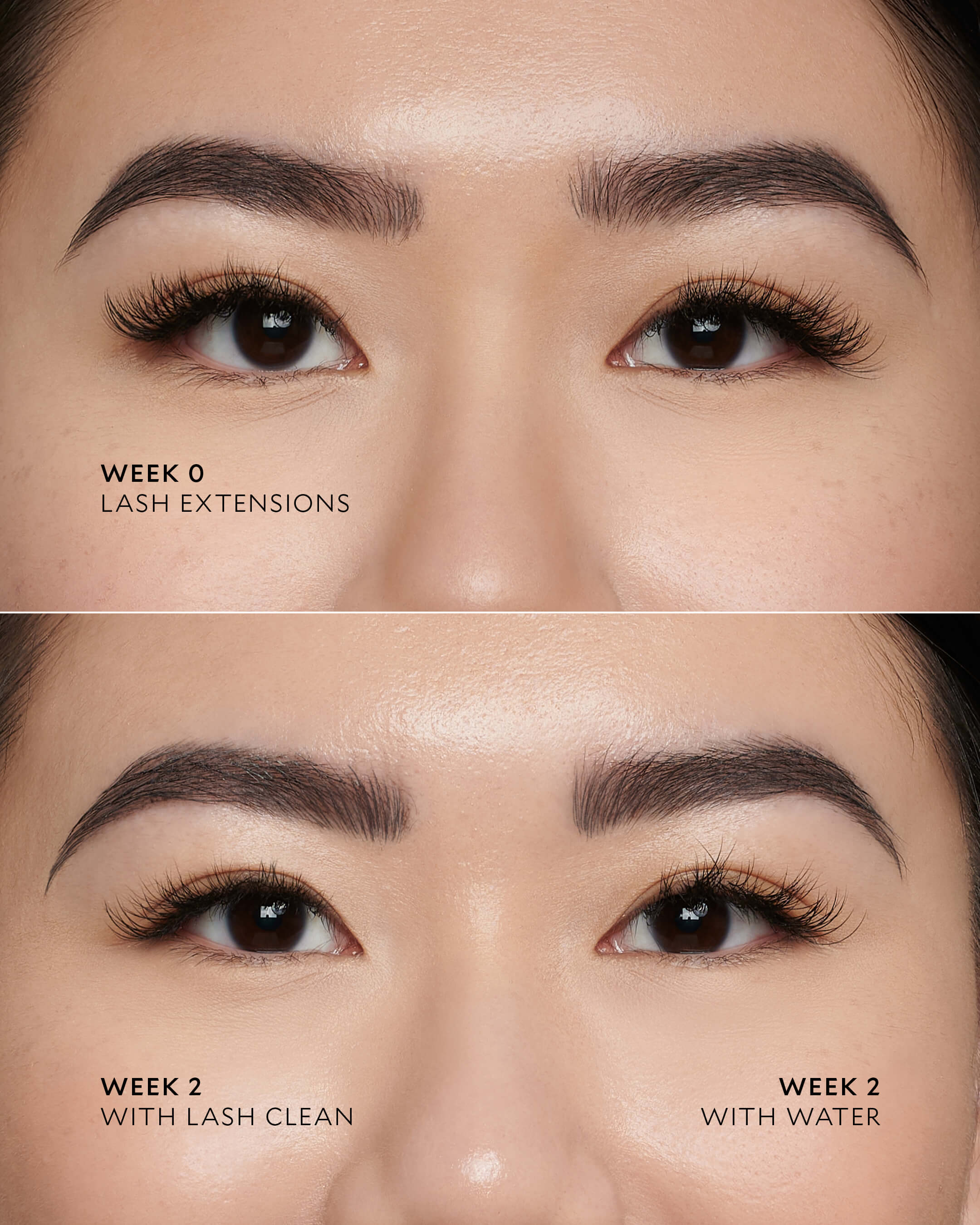 Lash Clean - Image 4
