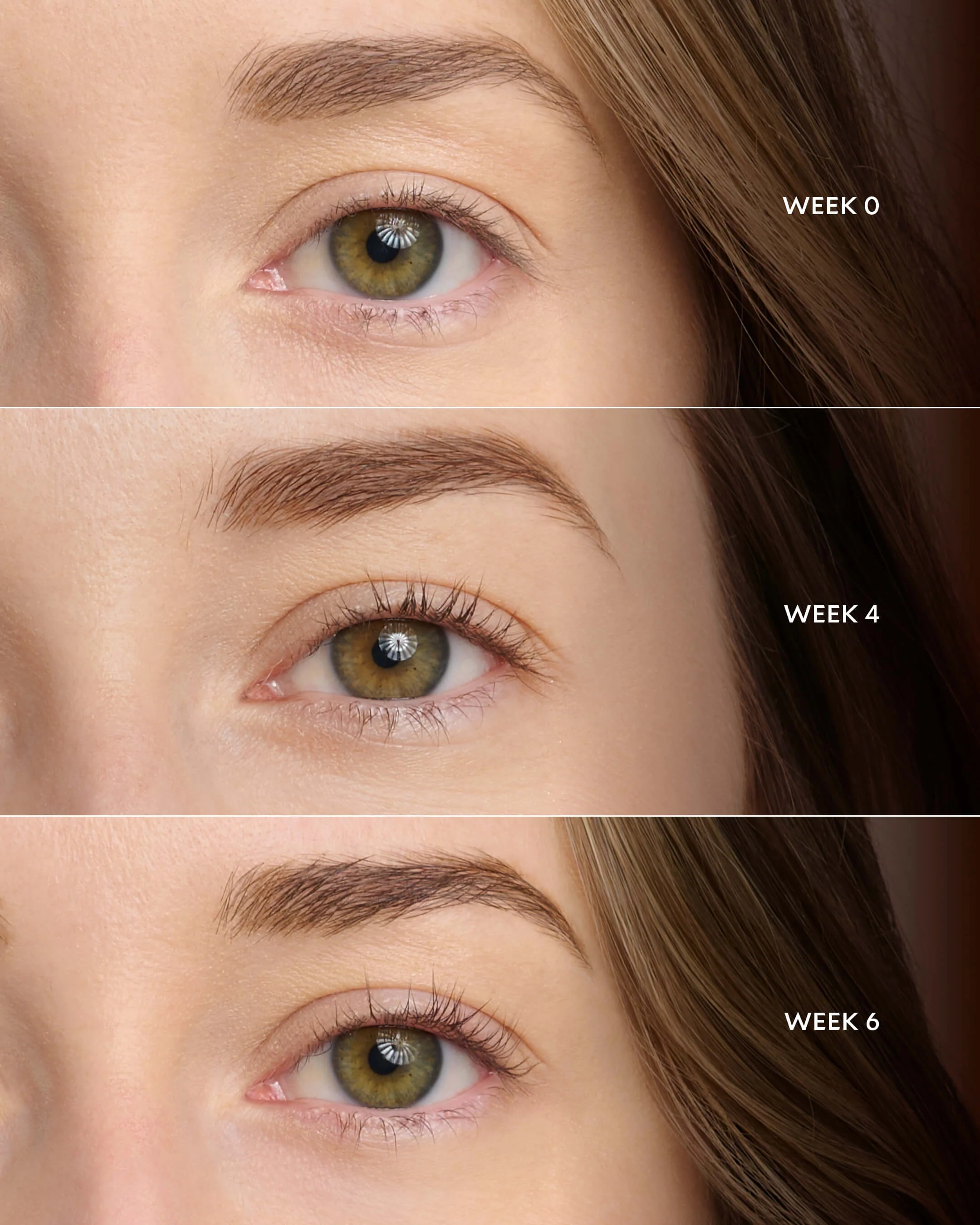 Peptide Lash Serum - Image 4