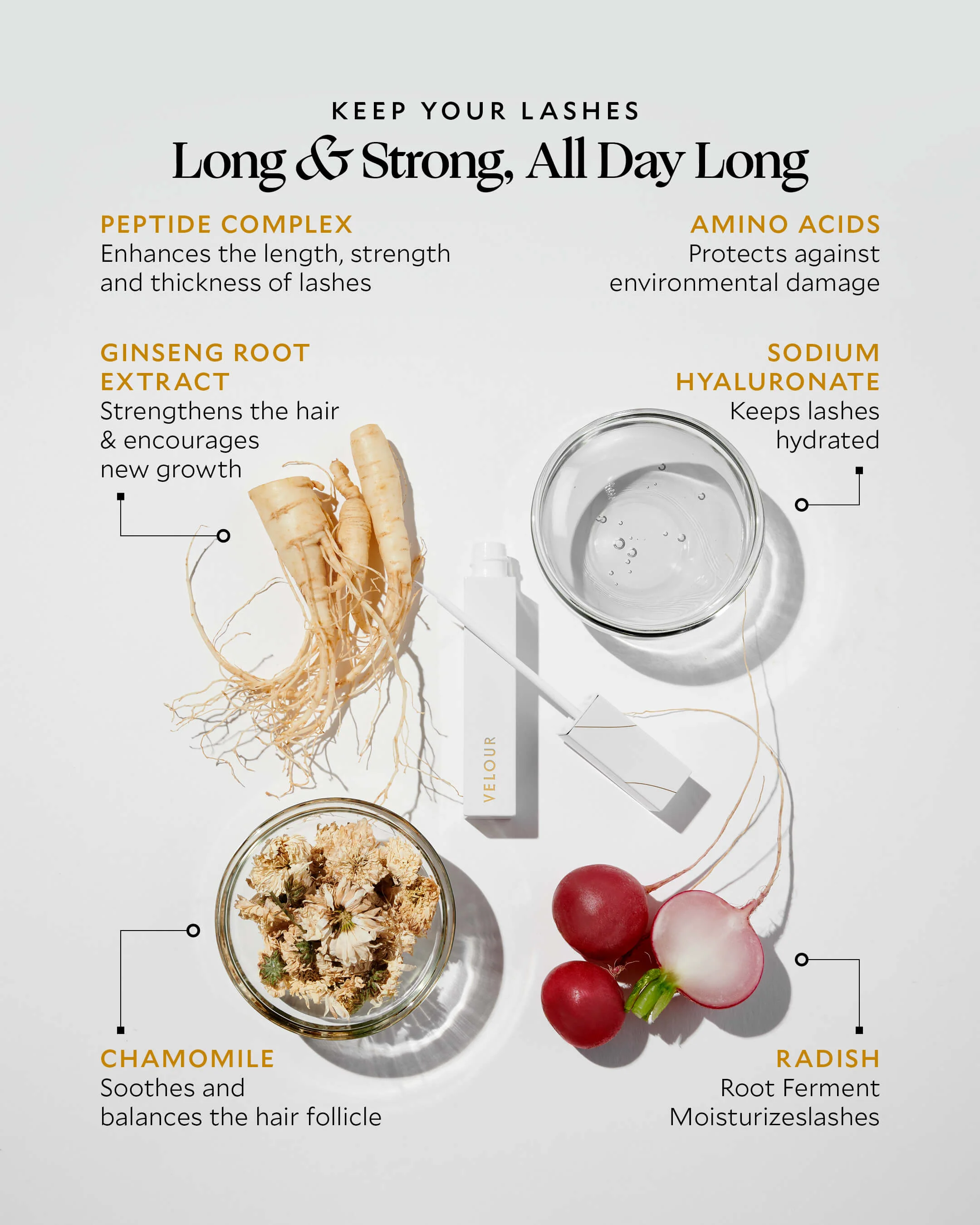 Peptide Lash Serum - Image 6