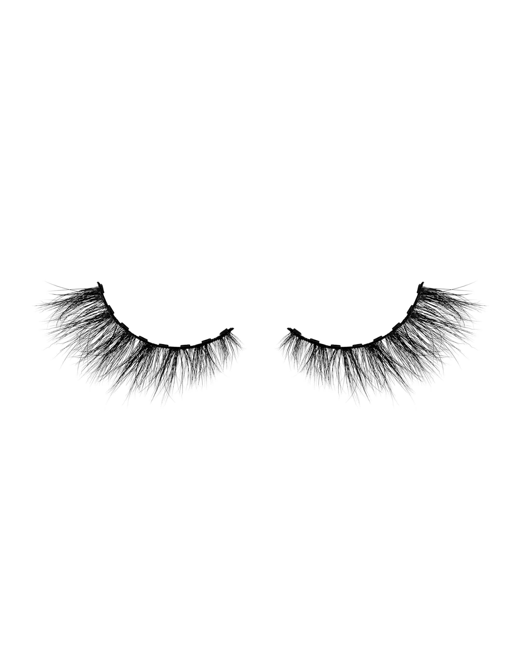 Opposites Attract - Image 3